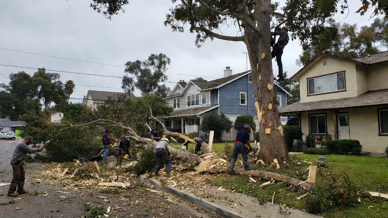 Full crew on a post-storm removal in a neighborhood
