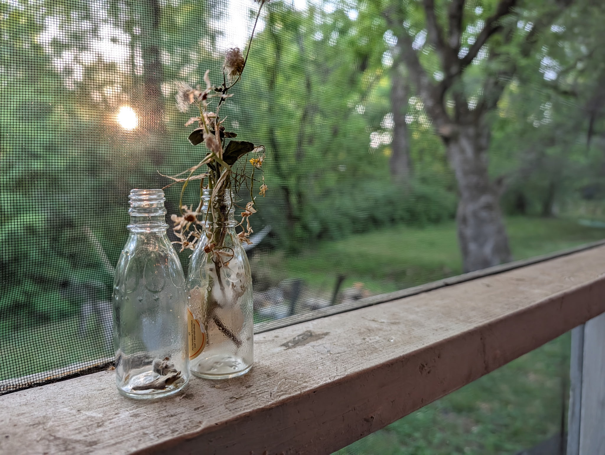 Wildflowers and vintage glass bottles on the screen-porch sill at Brown Creek Holler, Maryville TN, evening light through the trees
